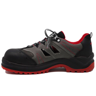 Baltes Frisbee ESD S1